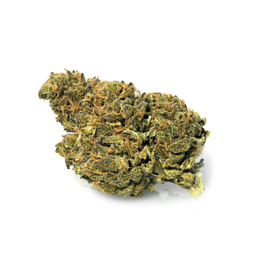 bubblegum-fleur-de-cannabis bubblegum-fleur-de-cannabis