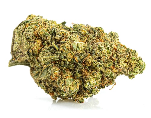 fleur de CBD de Bubblegum