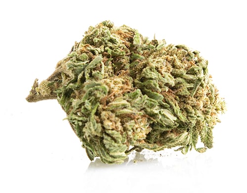 fleur de CBD de Bubblegum