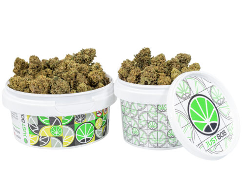 pot avec petit fleurs cbd de Bubblegum