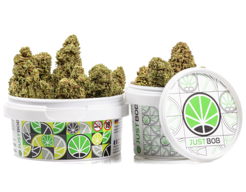 pot bubblegum cannabis cbd