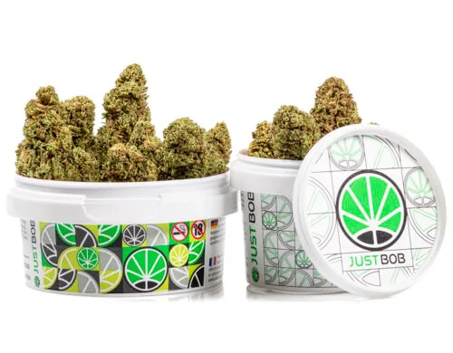 pot bubblegum cannabis cbd