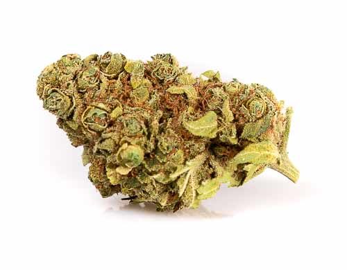Gorilla Glue CBD Fleur