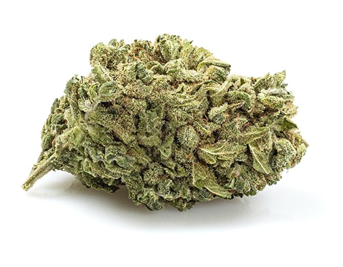 Gorilla Glue CBD Fleur