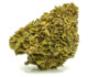 2592 gorilla glue small fleurs cbd