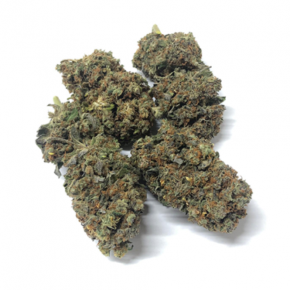 California-Haze-marijuana-indica-cannabis-sativa-cbd California-Haze-fleur-de-cannabis-marijuana-cbd
