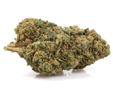 Fleur cbd de california haze