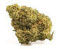 229162 Fleur cbd de la varieté Master Kush