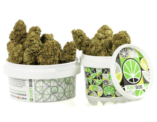 Fleurs CBD CALIFORNIA HAZE de Cannabis Light dans un conteneur blanc