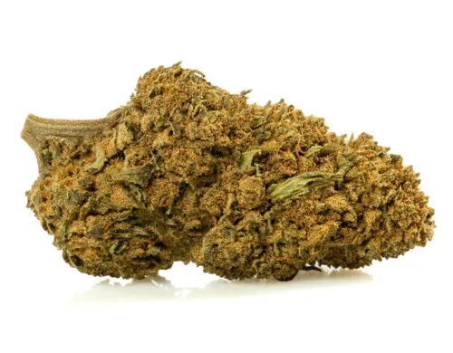 Les Fleurs CBD CALIFORNIA HAZE