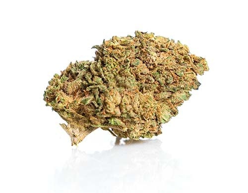 Fleur de CBD Master Kush à haute teneur en cannabidiol