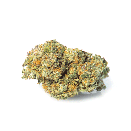 california-haze-cbd-fleur california-haze-cbd-fleur