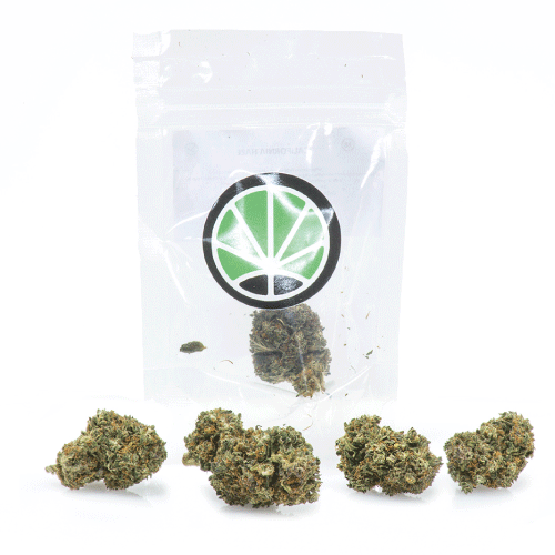 california-haze-fleur-cannabis california-haze-fleur-cannabis