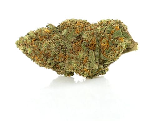 California Haze Fleur CBD