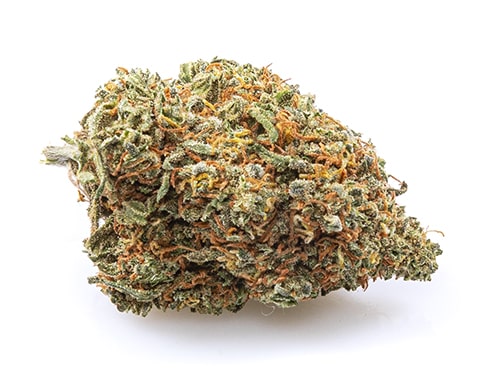 California Haze Fleur CBD