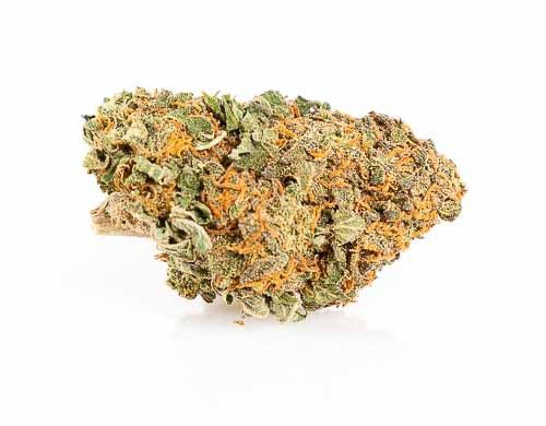 California Haze Fleur CBD