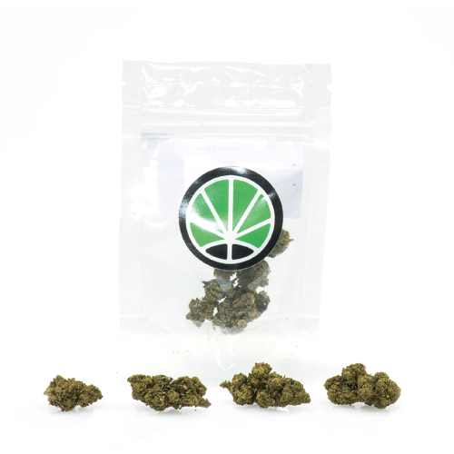 master-kush-cbd-fleur-marijuana master-kush-cbd-fleur-marijuana