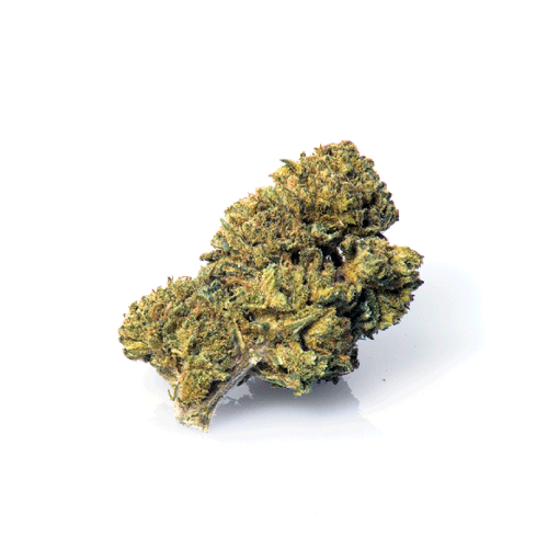 master-kush-fleur-cannabis-cbd master-kush-fleur-cannabis-cbd