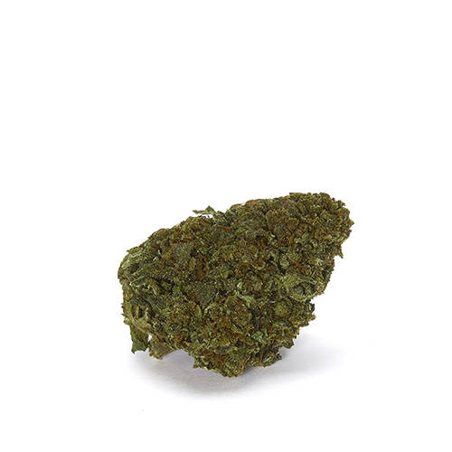 master-kush master-kush