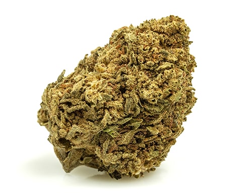 MASTER KUSH-small-fleurs-cbd
