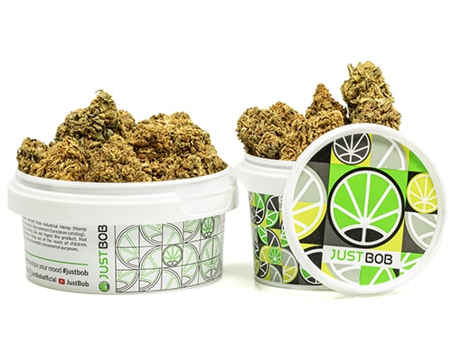 pot-MASTER KUSH-cannabis-cbd