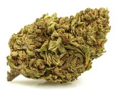 DO SI DOS-small-fleurs-cbd