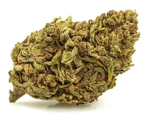 DO SI DOS-small-fleurs-cbd