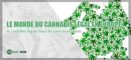 Le monde du cannabis CBD en Europe