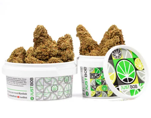 pot avec fleurs cbd de la varieté do si dos