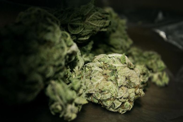 Master Kush légale