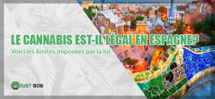 CANNABIS LÉGAL EN ESPAGNE