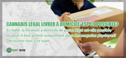 CANNABIS LÉGAL LIVRER À DOMICILE