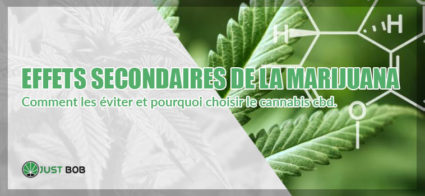 EFFETS SECONDAIRES DE LA MARIJUANA 2 DÉCOUVREZ LES EFFETS SECONDAIRES DE LA MARIJUANA, COMMENT LES ÉVITER ET POURQUOI CHOISIR LE CANNABIS CBD.