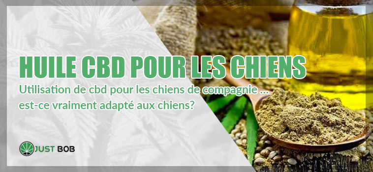 HUILE CBD POUR LES CHIENS