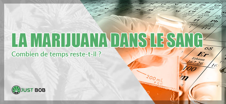 LA MARIJUANA DANS LE SANG