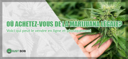 achetez-vous de la marijuana légale