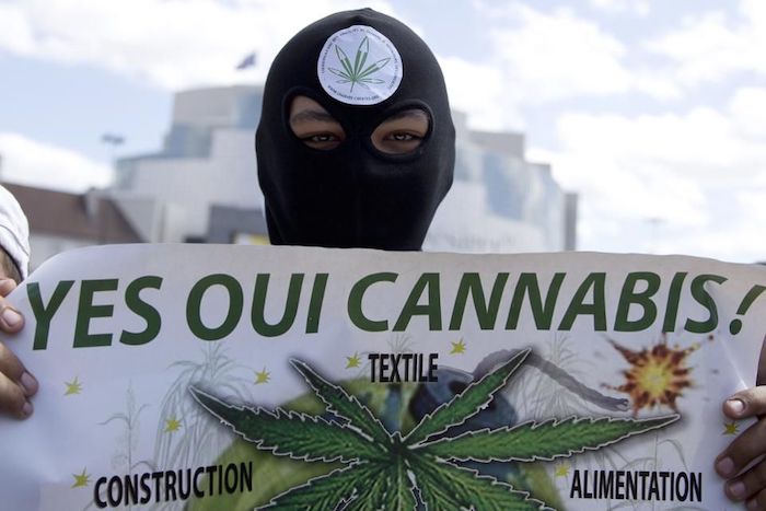 Le cannabis en France