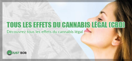 cannabis legal effets