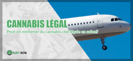 cannabis cbd en avion