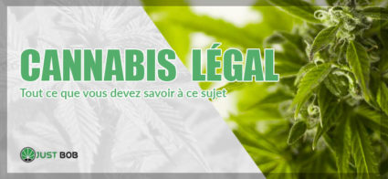 cannabis legal en france