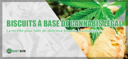 biscuits au CBD: cookies de cannabis légal