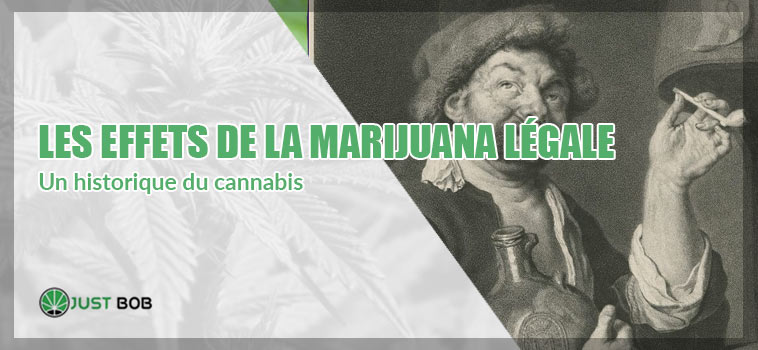 Cannabis CBD: les effets de la marijuana légale