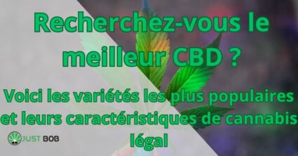 Recherchez-vous le meilleur CBD ?