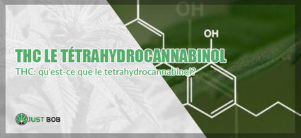 TÉTRAHYDROCANNABINOL