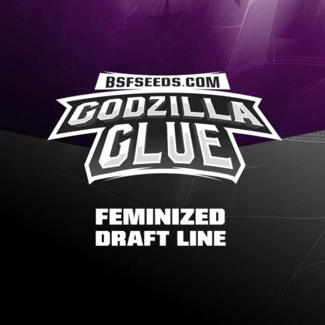 godzilla-glue-feminisees godzilla-glue-feminisees