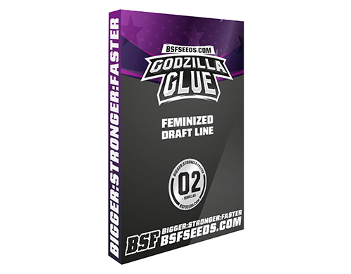 godzilla-glue-graines-de-cannabis-weed-seed-shop-2.jpg godzilla-glue-graines-de-cannabis-weed-seed-shop-2.jpg