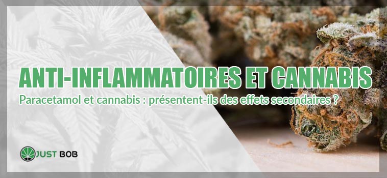 Anti-inflammatoires et Cannabis