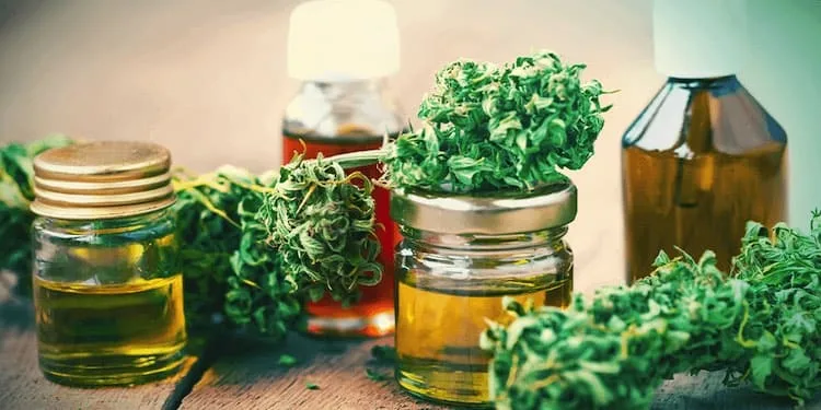 hule-cbd-contre-indication-2 hule-cbd-contre-indication-2