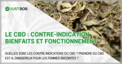 Le CBD : contre-indication, bienfaits et fonctionnement