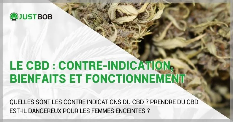 le-cbd-contre-indication Le CBD : contre-indication, bienfaits et fonctionnement